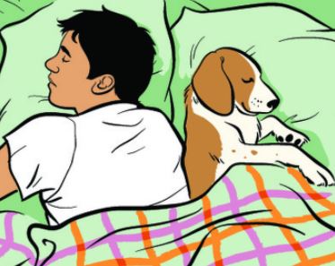 الام الرقبة