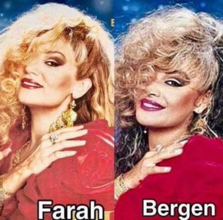 الفيلم التركي بيرجين