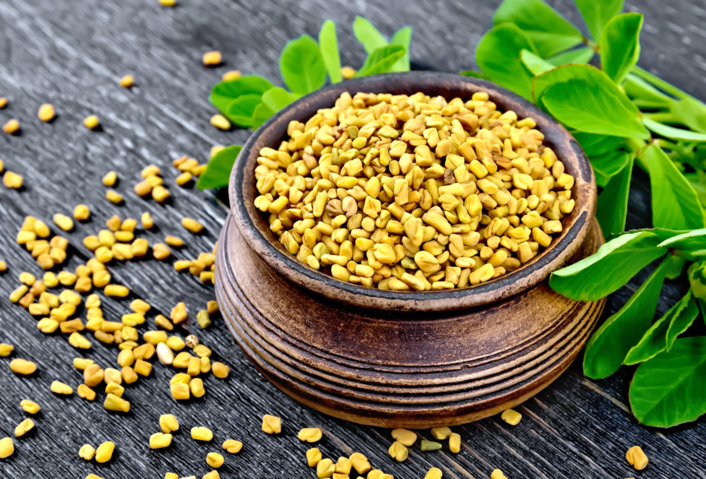 فوائد الحلبة الصحية بشكل عام