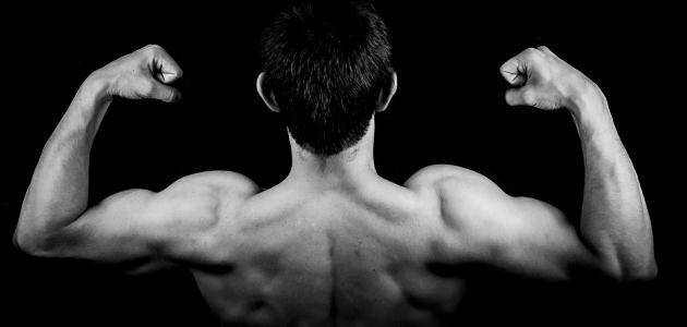 هرمون التستوستيرون