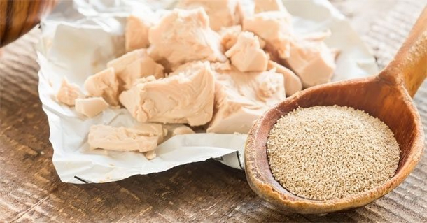 فوائد الخميرة الطبيعية