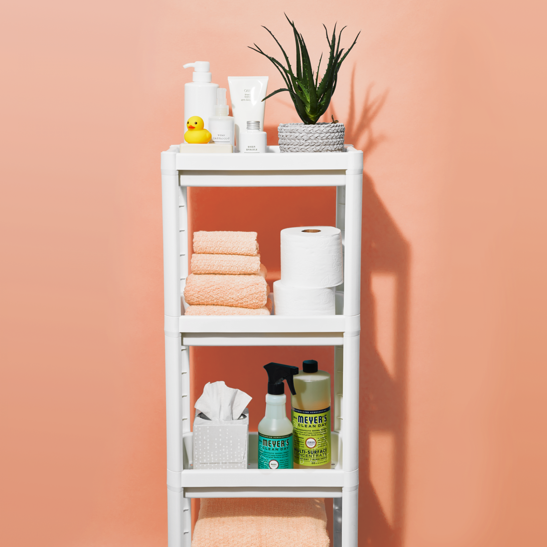 smart-bathroom-organizing-tips-1582762833.png
