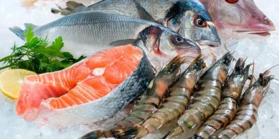 أسماك مفيدة واخرى ضارة أثناء الحمل