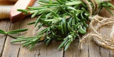 فوائد وأضرار إكليل الجبل