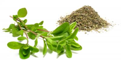 ما هي فوائد عشبة البردقوش للرحم