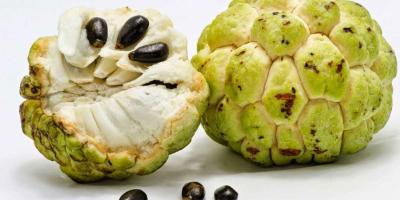 ما هي فوائد فاكهة القشطة للشعر؟