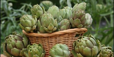 من بينها الخيار والخرشوف.. 5 أطعمة تخلص جسمك من السموم