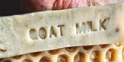 5 فوائد مدهشة لصابون حليب الماعز.. تعرفي عليها