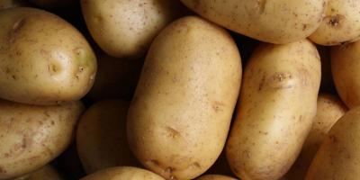 تعرفي على طريقة استخدام البطاطس لعلاج حروق الشمس