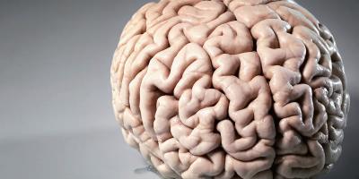 7 أطعمة مهمة لتعزيز صحة الدماغ والذاكرة