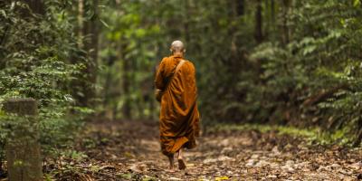 من الهضم إلى السكري.. تعرف على فوائد التأمل سيرا على الأقدام