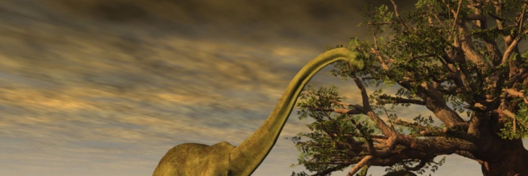  اكتشاف جديد يؤكد قضاء كويكب على الديناصورات