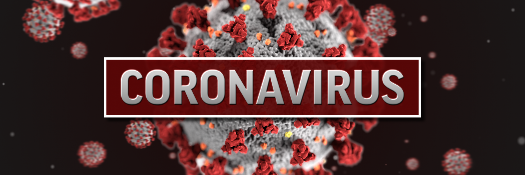 دراسات تؤكد فاعلية 5 منتجات للوقاية ولتخفيف أعراض فيروس كورونا المستجد