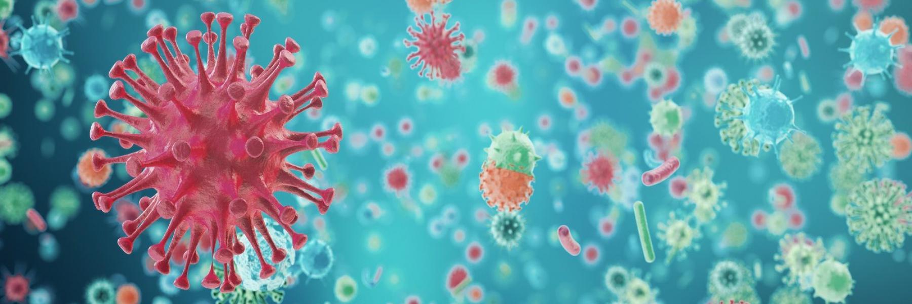 هل يستطيع الميكرويف قتل جزيئات فيروس كورونا على الطعام؟ 