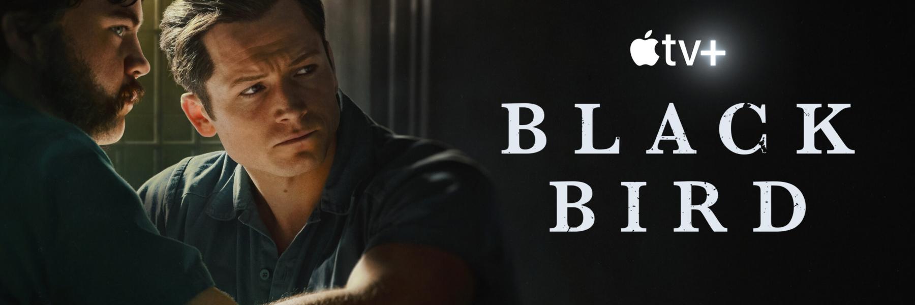 Black bird