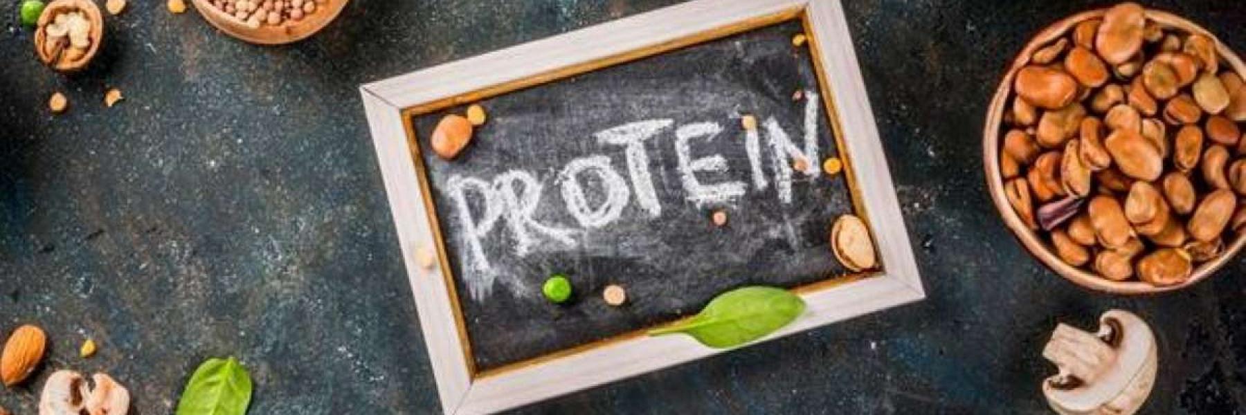 فوائد البروتين