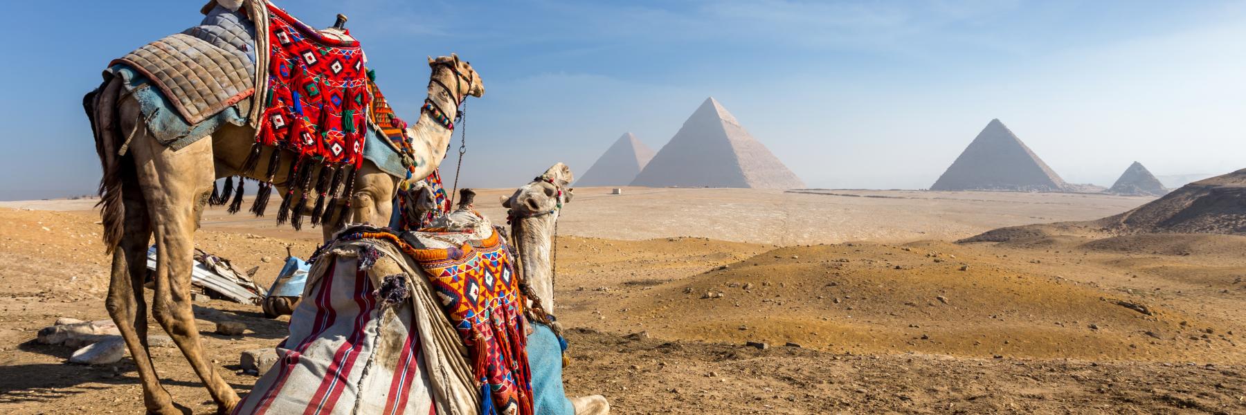  9 طرق للاستمتاع بالقاهرة أثناء وباء كورونا