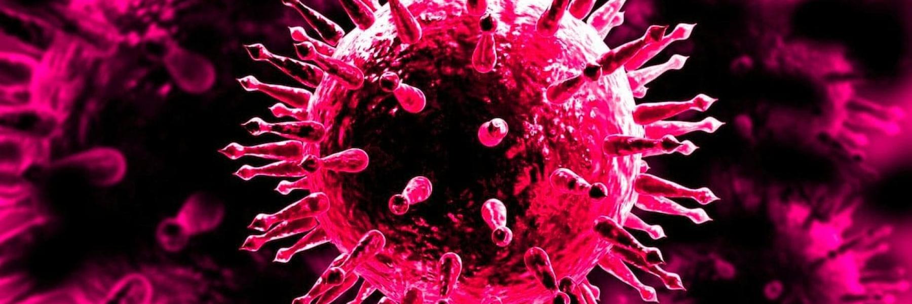 العلماء يحذرون: 850 ألف فيروس غير مكتشف في الحيوانات يمكن أن يصيب البشر