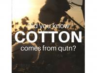 Cotton - قطن