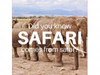 Safari  - سفر