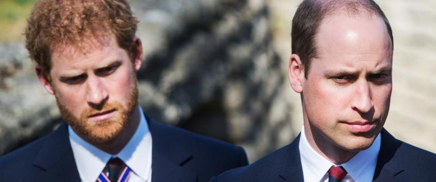 الامير هاري والامير ويليام