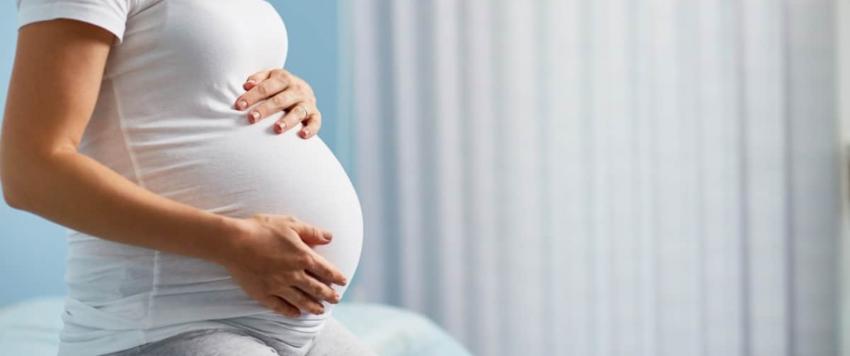 معلومات عن الحامل