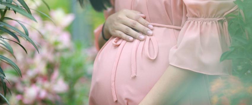 الزعفران للحامل