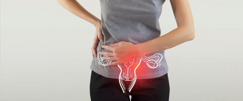 بطانة الرحم