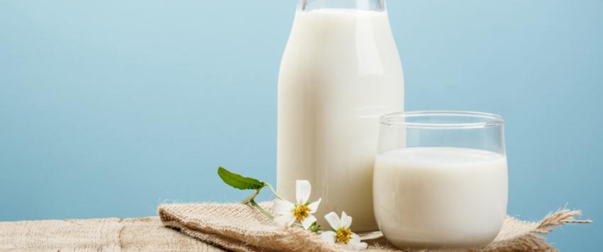 حساسية الحليب