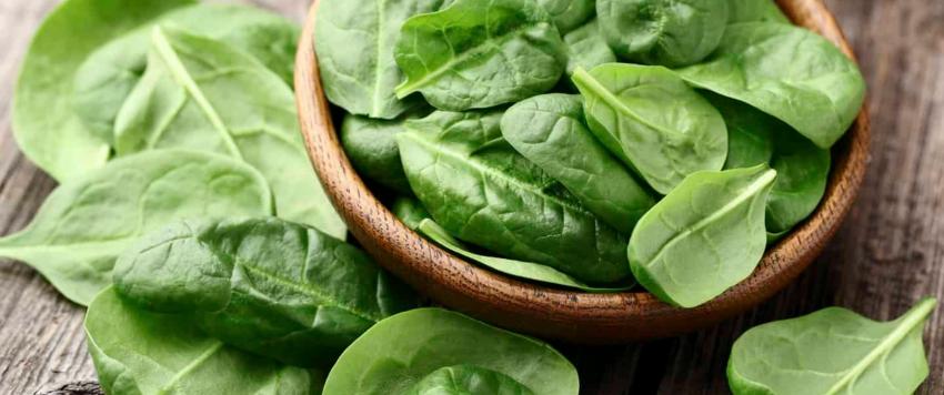 سبانخ
