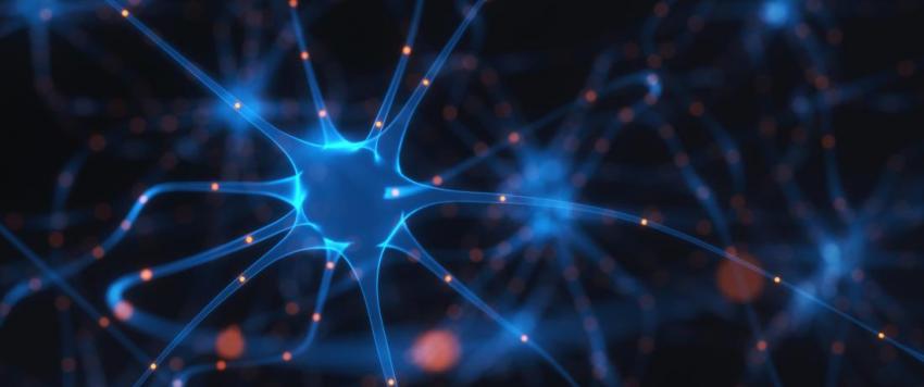 مرض التصلب العصبي المتعدد