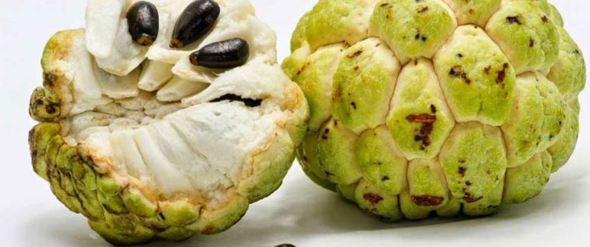 فاكهة القشطة