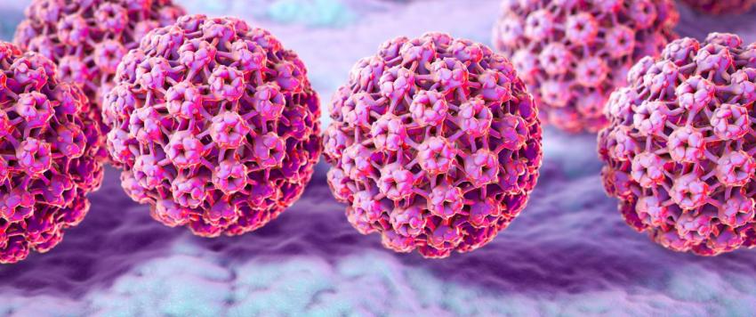 فيروس الورم الحليمي البشري (HPV)