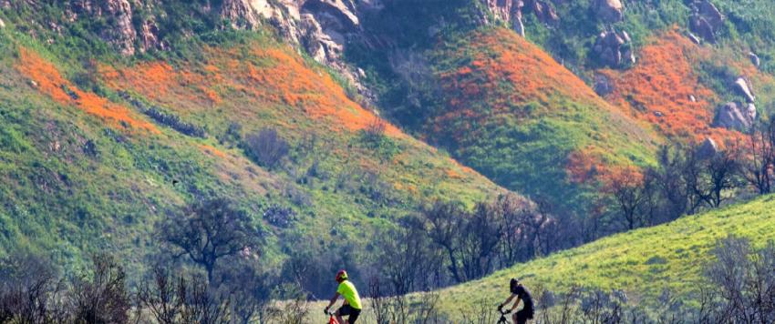 7 وجهات لمحبي المغامرة لتجربة لا تنسى حول العالم 7 وجهات لمحبي المغامرة لتجربة لا تنسى حول العالم