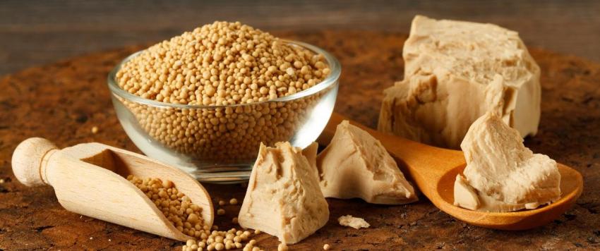 الخميرة الطبيعية 