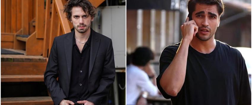 طائر الرفراف