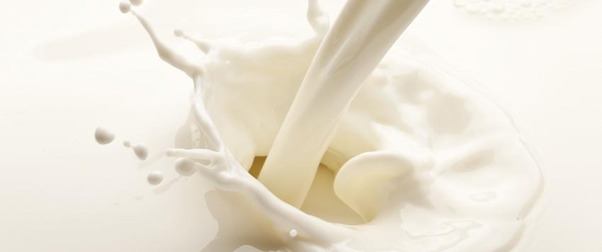 هل تناول السمك وشرب الحليب يؤدي إلى التسمم؟!