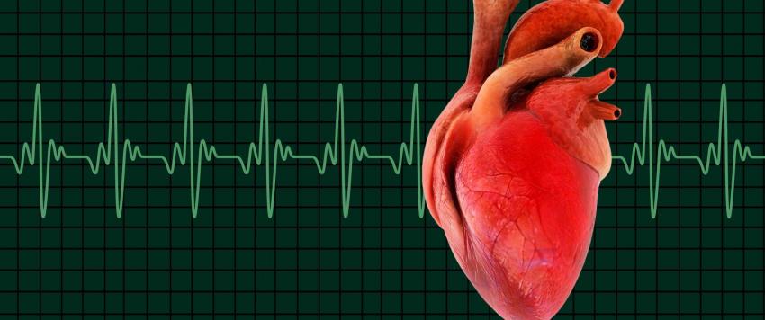 أطعمة تحافظ على صحة قلبك