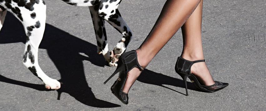 هذه المجموعة من الأحذية احرصي على تواجدها بخزانتك هذه المجموعة من الأحذية احرصي على تواجدها بخزانتك