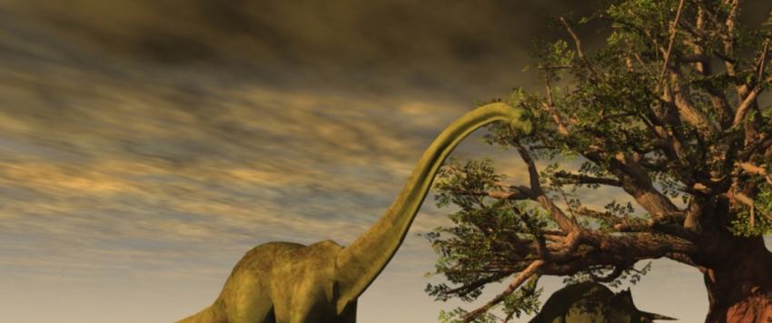  اكتشاف جديد يؤكد قضاء كويكب على الديناصورات