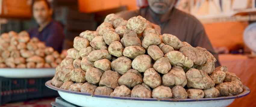 6 من فوائد الكمأة للنساء