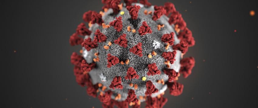 قصة مأساوية .. "كورونا" يقتل 3 أمريكيات من عائلة واحدة (صور)