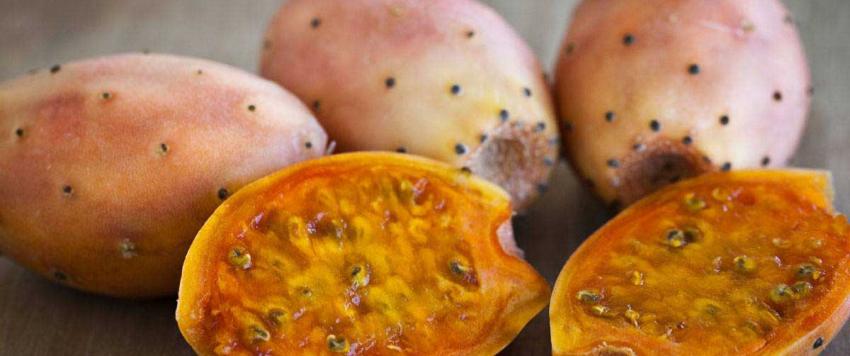 فوائد زيت التين الشوكي