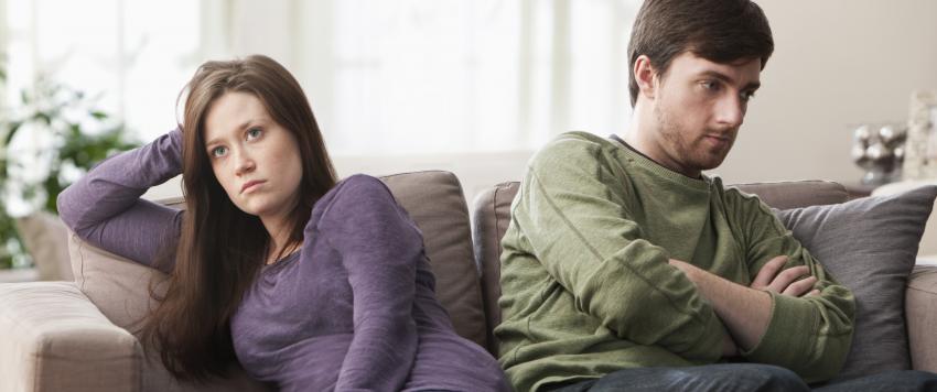 الشريك المسيطر