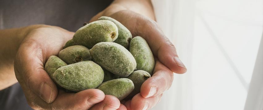 اللوز الأخضر