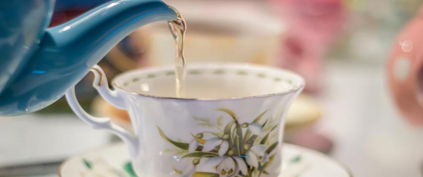 فوائد الحرجل