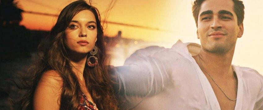 طائر الرفراف