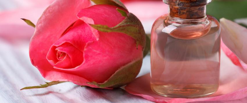 استخدامات ماء الورد وفوائده الصحية للشعر