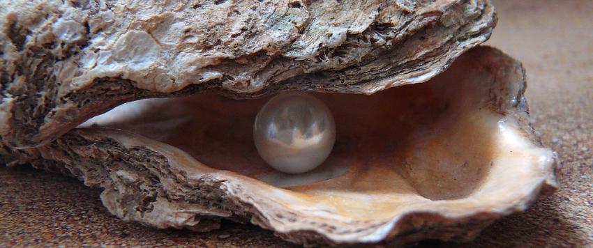 تألقي باللؤلؤ من وجهك لقدميك واختاري المفضل لك