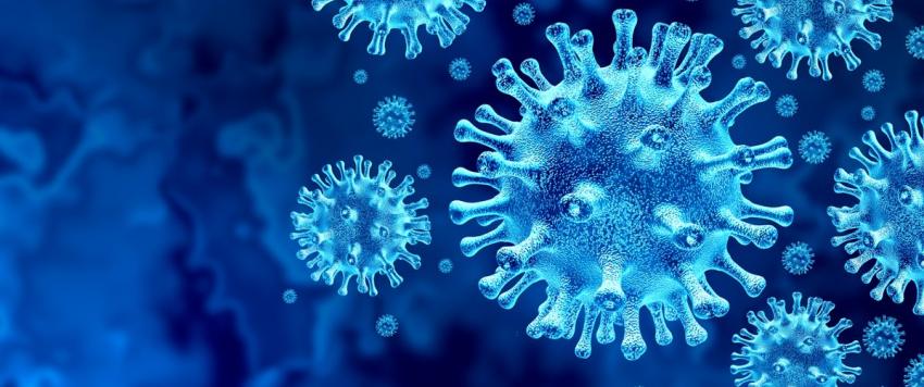 5 أعشاب تحارب الأمراض الخطيرة وفيروس الكورونا أيضاً